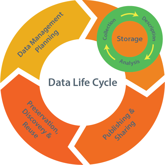 Data life cycle