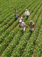 Centre for Genomic Studies on Plant-Environment Interaction for Sustainable Agriculture and Food Security