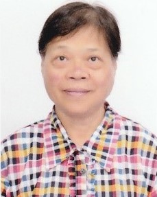 photo of Professor WONG Hoi Chzzzzzzzzz