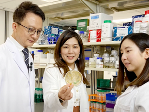 Research in Microbiota Engraftment After FMT in Obese Subjects with Type 2 Diabetes