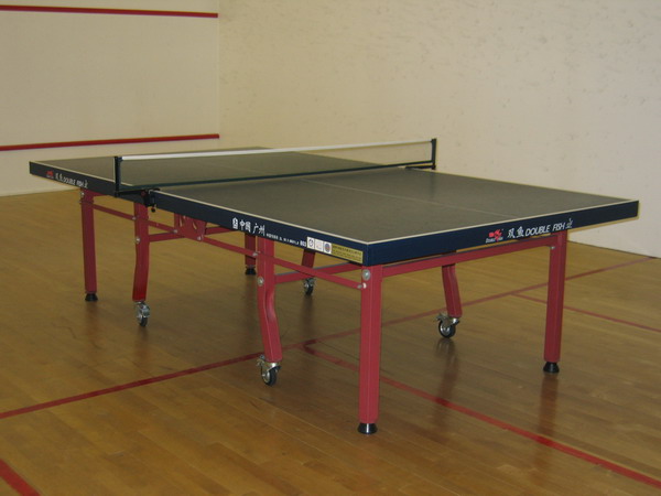 Table-tennis Room