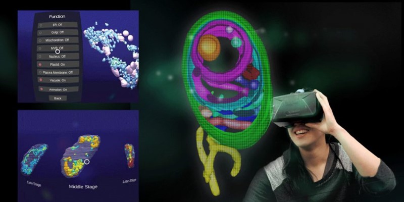 A mobile VR application is designed to innovate students’ learning experience in plant cell biology. 