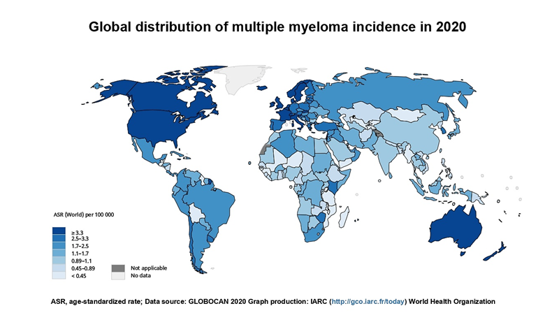 The global distribution of multiple myeloma incidence in 2020. 