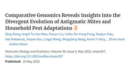 Divergent evolution of astigmatic mites