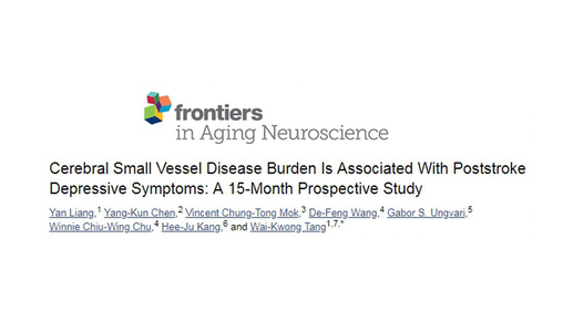 Early Identification of Patients at Risk of Post Stroke Depressive Symptoms