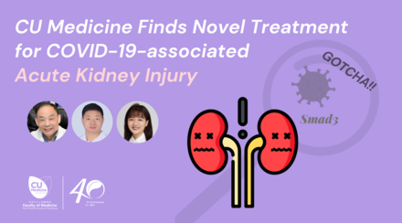 CUHK study sheds light on novel mechanism and treatment of acute kidney injury in COVID-19 patients