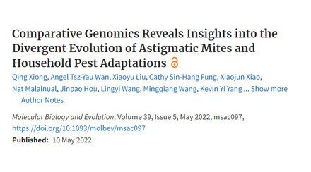 Divergent evolution of astigmatic mites