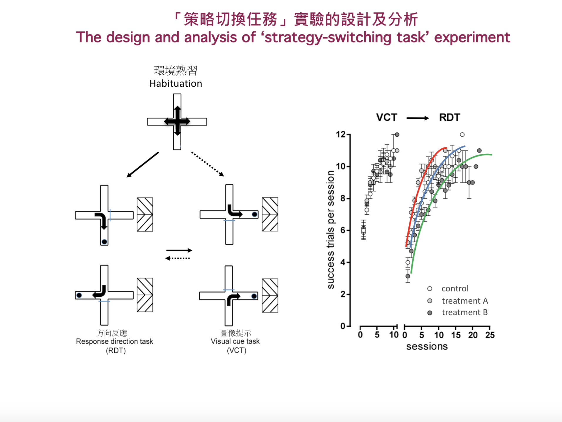 Based on a strategy-switching task conducted on experimental mice, researchers study how many and what kinds of errors the mice would commit before and after mastering the new strategy.