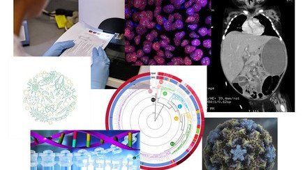 「香港中文大学卓越儿童健康研究所」正式成立 结合全球跨学科力量 促进儿童健康和福祉