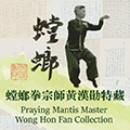 Praying Mantis Master Wong Hon Fan Collection