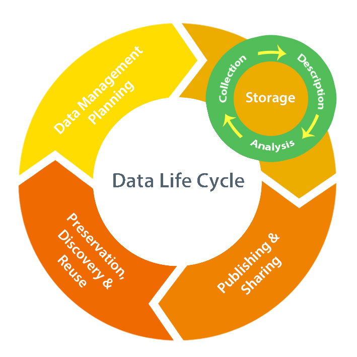 Data life cycle