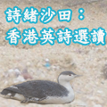 诗绪沙田：香港英诗选读