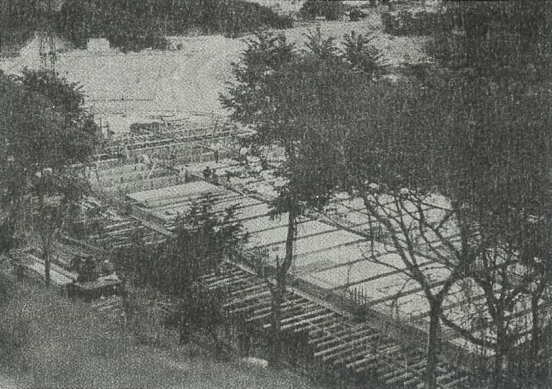 The roof of the new library