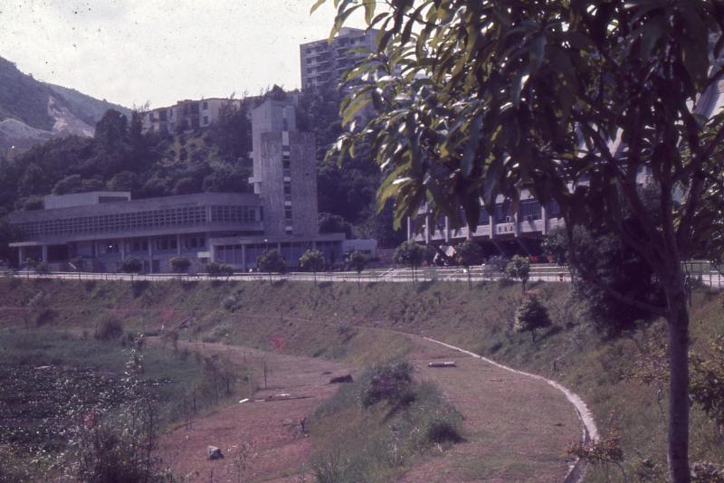 Library and the Lily Pond