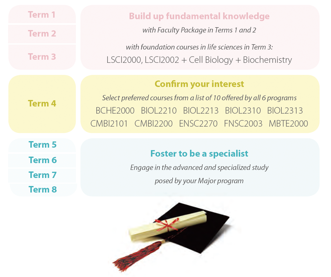 studyscheme334 r2