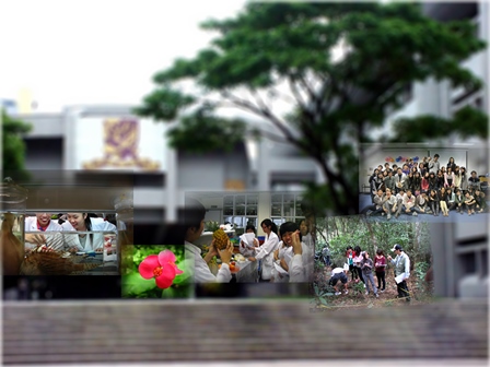 Biology Programme, CUHK