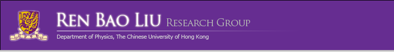 Ren Bao Liu Research Group