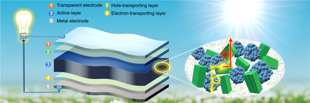 Organic solar cell