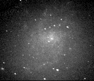 M33