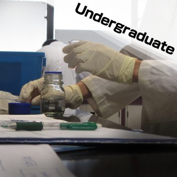 undergraduate 01