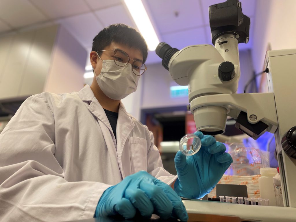 Dr. Henry Wai Lok SO observes a centipede specimen collected in the field.