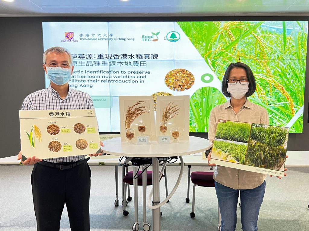 The CUHK team conducted genomic analysis on the raw genome data of Hong Kong rice varitety “Fa Yiu Tsai” and “See Mew” provided by the AFCD to reveal their genomic identity.<br />
<br />
Project leader Professor Lam Hon-Ming, Choh-Ming Li Professor of Life Sciences and Director of the State Key Laboratory of Agrobiotechnology (CUHK) (left) and Ms. Mon Wong, Agricultural Officer of the AFCD (right).