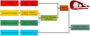 Flow chart depicting how the four study methods used by Miller et al. were combined to reconstruct the diet of the early fossil bird Pengornis. A reconstruction of the bird’s skull is given in the upper right corner. Image credit: Miller et al. 2023