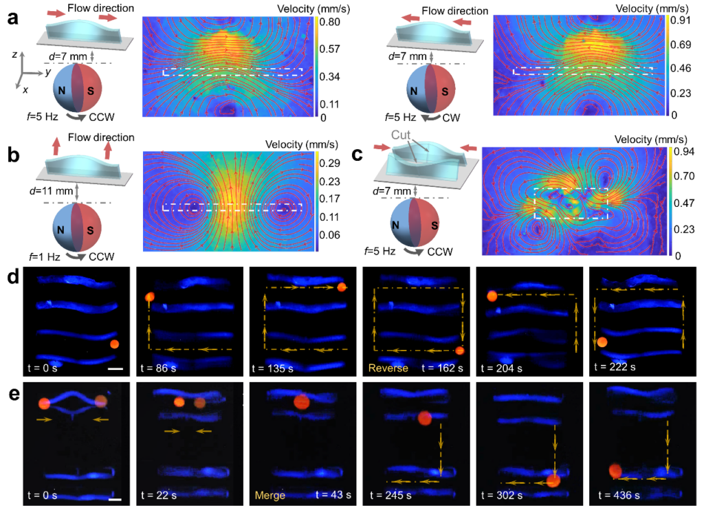 Switchable fluidic behaviours generated by the dynamic transformation of the strip structures. Flow field induced by single strip structure under different magnetic field strength and rotating direction (images a, b); Flow field induced by two strip structures with symmetric shape-morphing results (image c); Demonstration of droplet manipulation with the dynamic flow field generated by the multiple strip structures (images d, e).