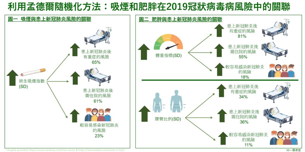 利用孟德爾隨機化方法﹕吸煙和肥胖在2019冠狀病毒風險中的關聯