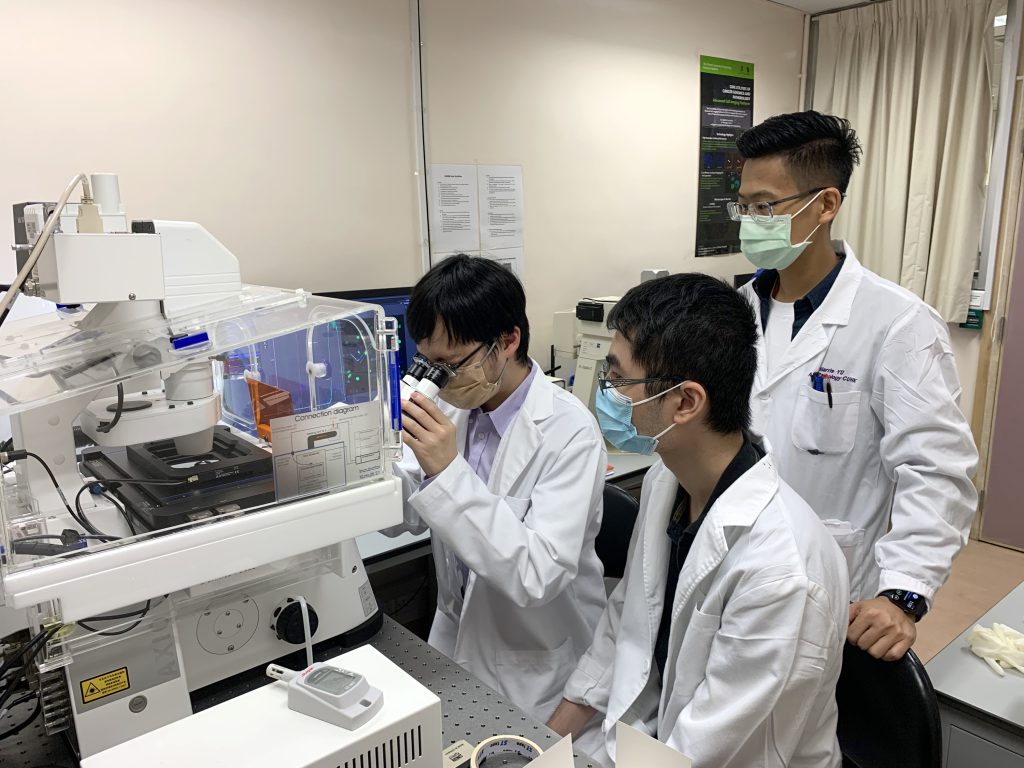 A study administered by undergraduate and postgraduate students from CU Medicine has discovered the pivotal role of serine/threonine kinase 3 (STK3) in gastric carcinogenesis.