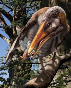 Reconstruction of Longipteryx feeding on the mayfly Epicharmeropsis hexavenulosus from the Early Cretaceous Jehol Group of Northeastern China. Miller et al. noted that the foot of Longipteryx could grasp in a way similar to living owls, on which this feeding pose is based. <br />
Image credit: Julius T. Csotonyi.