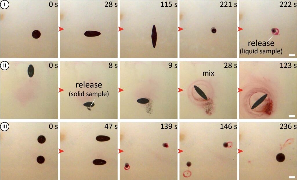 Liquid capsules, based on low ferrofluidic wetting, manoeuvre in various motion modes while carrying a liquid or solid cargo and releasing it on demand. (i) Liquid cargo delivery. (ii) Solid cargo delivery and mixing. (iii) Two liquid capsules are actuated together to deliver the liquid cargo and fuse. The substrate is made of hydrogel.