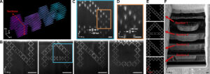 Nanostructures demonstrating minimum feature sizes. (A) 3D model of a nonconnected “NANO” structure comprised of arrays of parallel nanowires; (B) SEM cross-sectional images of the “NANO” structure cut by a focused ion beam (FIB); (C) zoomed-in view of the letter “A” in (B); and (D) zoomed-in view of (C); (E) Four cross-sectional patterns of the “NANO” structure (in the x-z plane of (A)); (F) SEM images showing the trenches of the gel sample opened by an FIB-cut, where the positions of each letter are labelled. All cross-sectional images were taken at a substrate tilt angle of 52°.