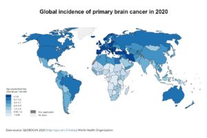 2020年原發性腦癌的全球發病率分布