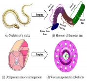 Under-actuated Wire-Driven Mechanism and Highly Efficient Robot Fish