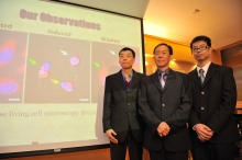 From left: Mr. Hogan Tang, Professor Ming-Chiu Fung and Mr. Ka-Leung Yuen, a MPhil student of Department of Biology, CUHK