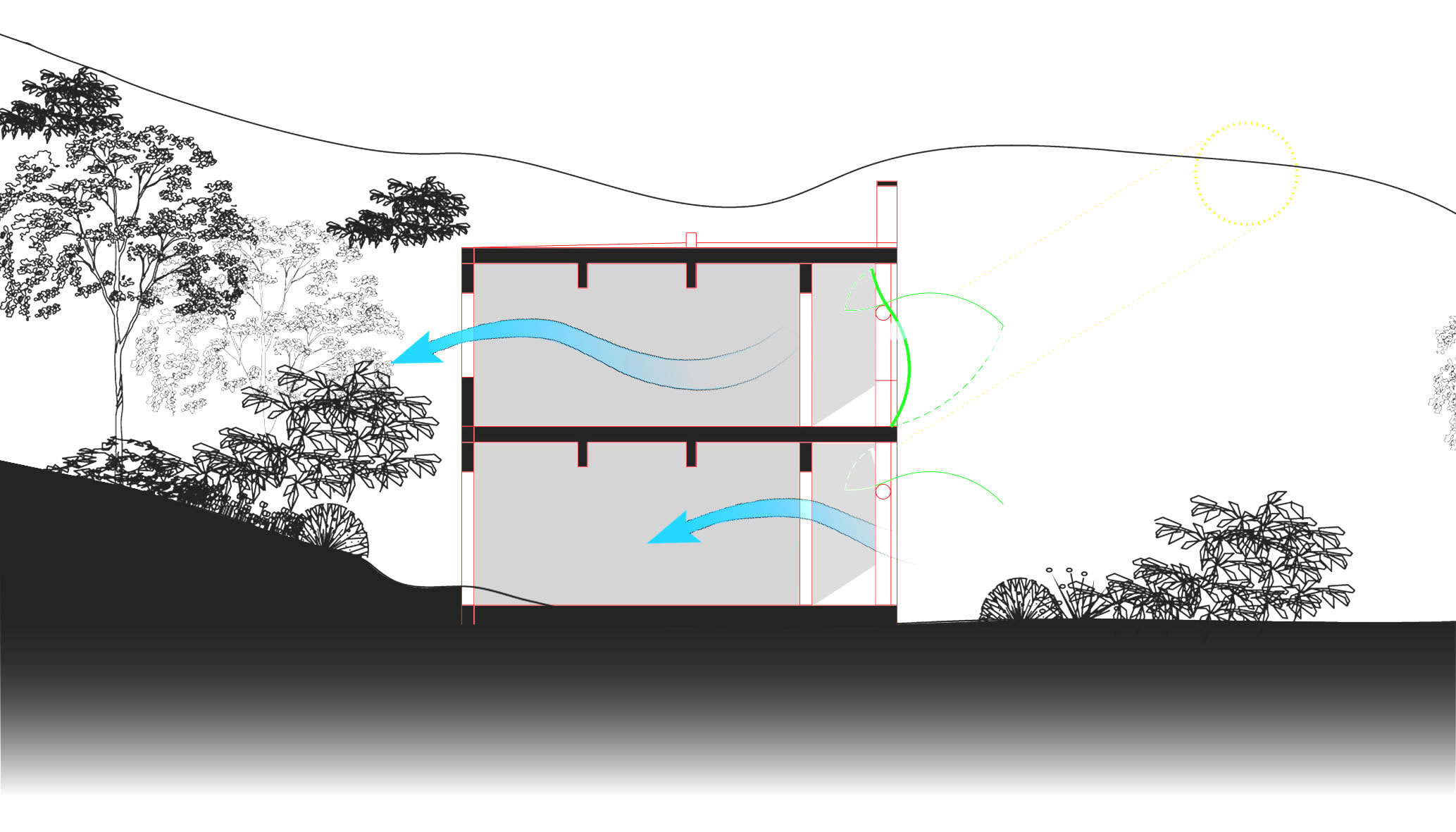 (From left to right) Main perspective and section of “Hainan Forest Reserve Visitor Centre - Adaptive Reuse Proposal of the Abandoned Army Camp”