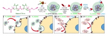 Single cell nano gels can enter the stem cells and deliver therapeutic cargo into the stem cells.