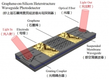 矽上履石墨烯異質結波導光電探測器。