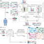 TAPE – an AI approach to Decipher Bio-sample Heterogeneity