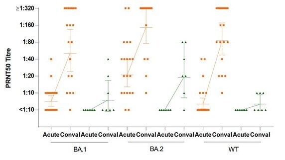 HKUMed-CU Medicine joint study shows that vaccinated individuals develop more robust and broadly reactive antibody responses against SARS-CoV-2 variants than the unvaccinated after an Omicron infection