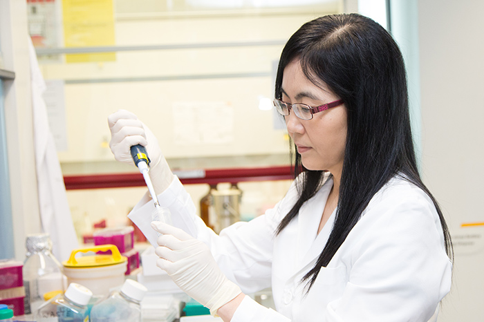 Performing miRNA isolation from the stool samples