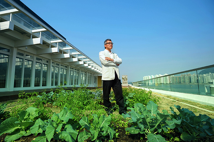 Greening helps to cool the city. The School of Architecture at CUHK has a green rooftop oasis to help reduce temperature.