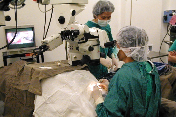 Clinical laser surgery can be carried out and patient can leave in an hour