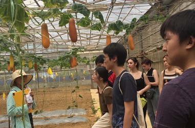 Eco Tour of Zen Organic Farm