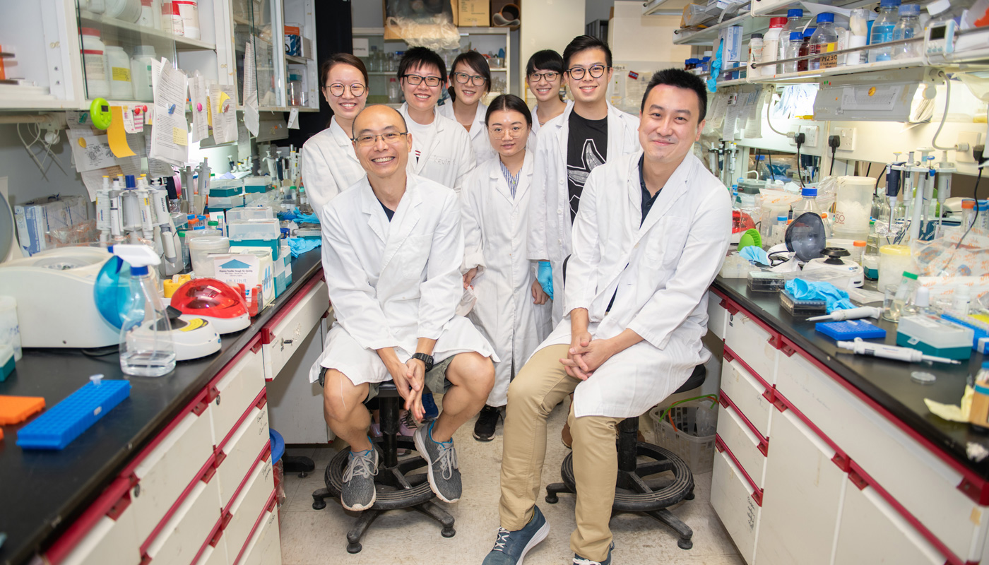 Professor Hui and his team. From left: Elaine Huang, Yip Ho-yin, Qu Zhe, Kay Chong, Fanny Li, Ivy Lee, Henry So, Professor Hui