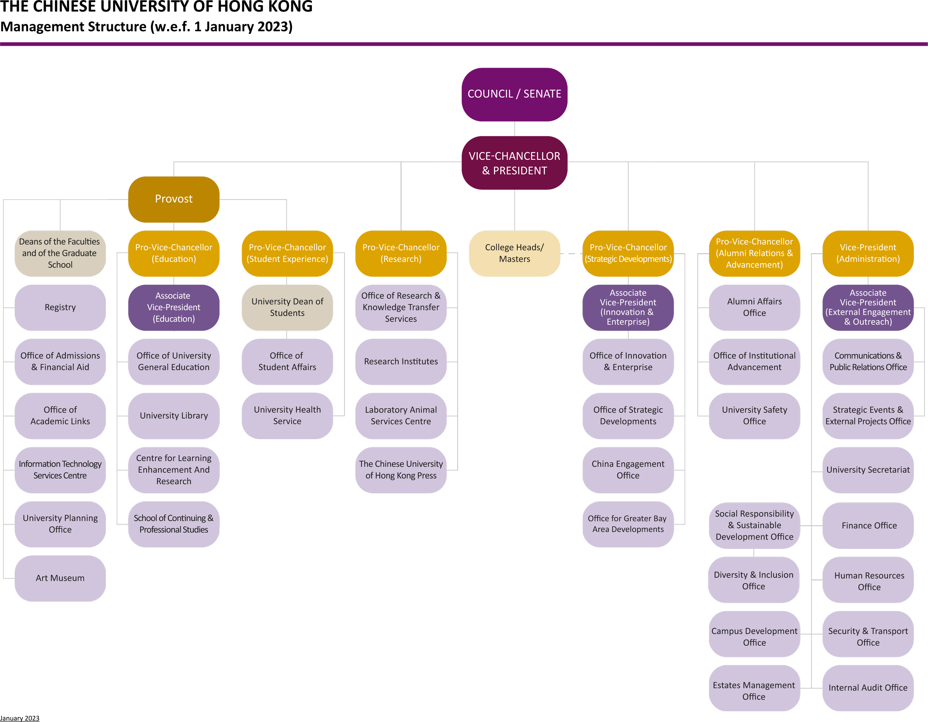 University Organization Chart