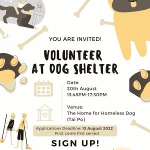 Dr Dog Summer Vacation Volunteer Work