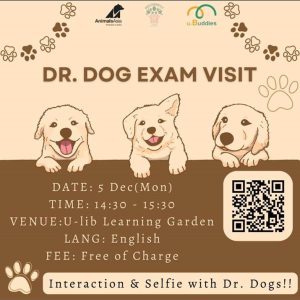 Dr. Dog Exam Visit