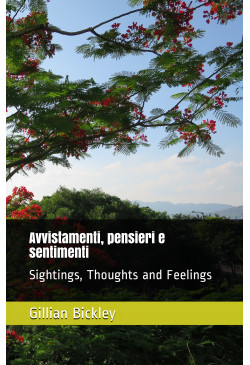 Avvistamenti, pensieri e sentimenti (Sightings, Thoughts and Feelings) (English / Italian)